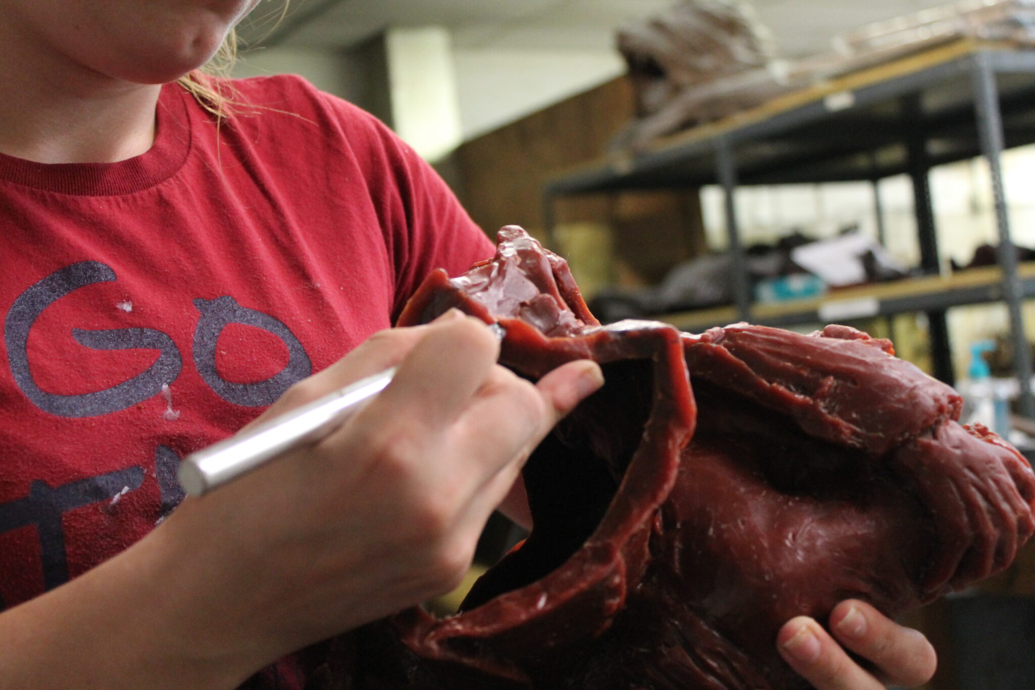 Bronze Casting Process - American Bronze Foundry