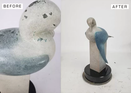 bird-repatina