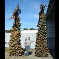 bronze animal sculpture of large shrimp