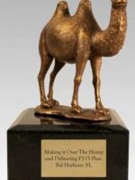 camel bronze award