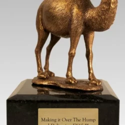 camel award