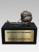 cotton bronze award