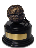 cotton_award