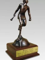 dream_builders bronze award