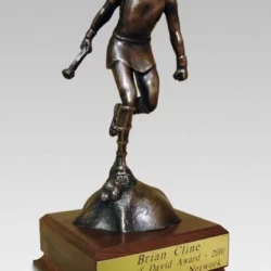 dream_builders award in bronze