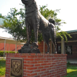 Fine Art Bronze School Mascot, High school mascot, college mascot, university mascot