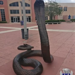 bronze mascot sculpture of park-vista-cobras-with-logo