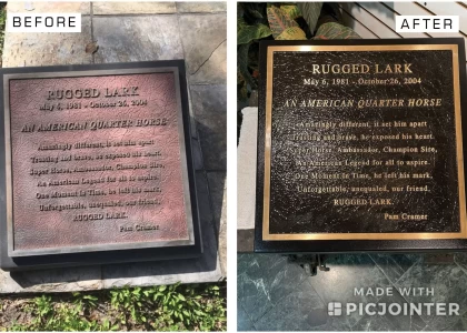 plaque-restore