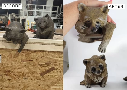 raccoon-repatina