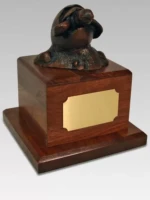turtle bronze award